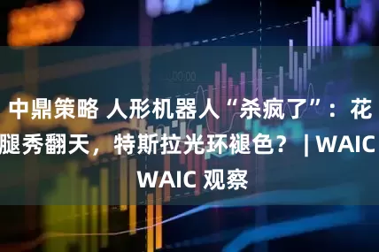 中鼎策略 人形机器人“杀疯了”：花拳绣腿秀翻天，特斯拉光环褪色？ | WAIC 观察