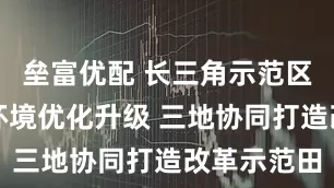 垒富优配 长三角示范区电力营商环境优化升级 三地协同打造改革示范田