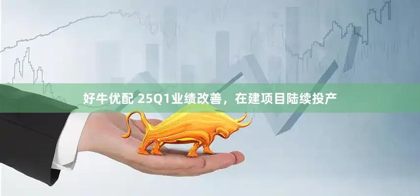 好牛优配 25Q1业绩改善，在建项目陆续投产
